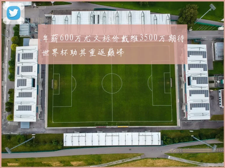 年薪600万尤文标价戴维3500万期待世界杯助其重返巅峰